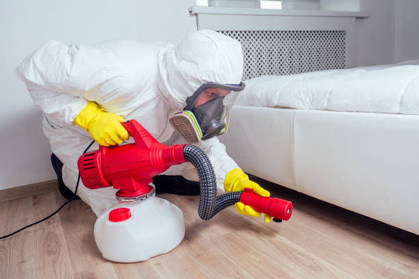 Professional Pest Control in Norwalk, IA